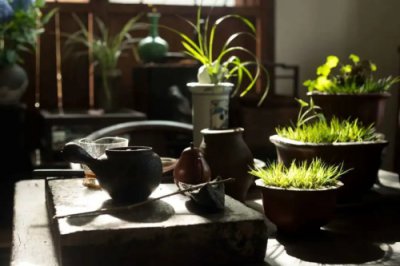 ​端午节五毒是哪五毒（端午节五毒指的是哪五毒）