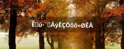 ​手机反应慢是怎么回事（一招让手机信号变强)