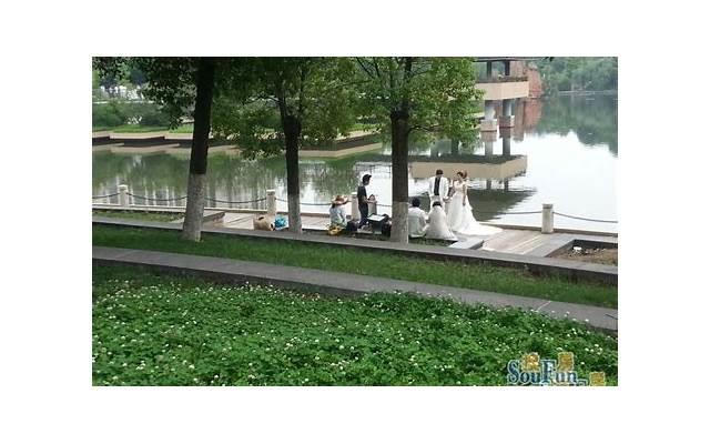 经典语录社会现实短句(经典语录社会现实短句图片) 经典语录社会现实短句(经典语录社会现实短句图片)
