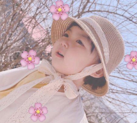 用又什么又什么造句子