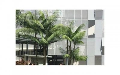 ​开学励志经典语录(开学励志经典语录简短)