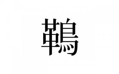 ​521句超短情话给女朋友听