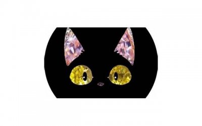 ​猜猜我的心在哪边 2025土味情话套路开车