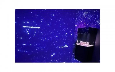 ​2025挽留的情话（怕太阳的土味情话）