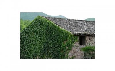 ​关于月亮星星的土味情话《爱千玺不放弃的女孩表白》