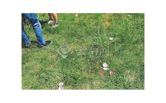 跟女生聊调情话题,和女生暧昧的聊天技巧 跟女生聊调情话题,和女生暧昧的聊天技巧