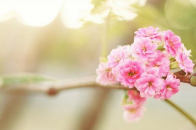 ​给知心爱人的暖心话给知心朋友的问候短语(80句)