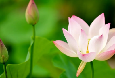​冬季发朋友圈句子(热门101句)