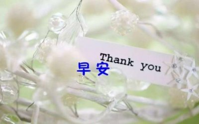 ​睡前甜甜的爱情小故事 甜甜的适合仙女的说说