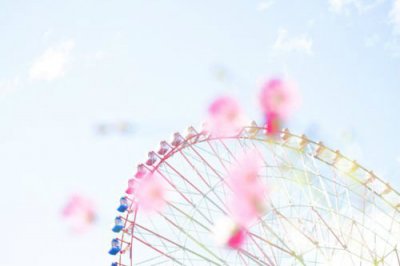 ​小动物比喻句37句