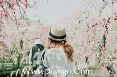 ​游子思乡的古诗