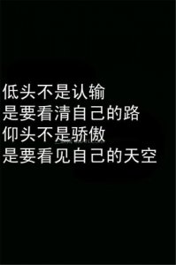 ​关于蛇的励志句子 帮忙用蛇有蛇道鼠有鼠路造个句子 谢谢