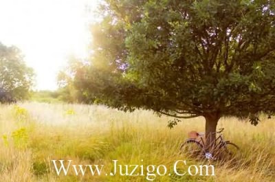 ​关于勤俭节约的名人励志名言勤俭节约的名人名言(精选63句)