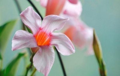 ​简短的伤感句子70条