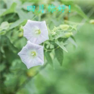 ​2025年早安正能量语录 早安说说正能量简短