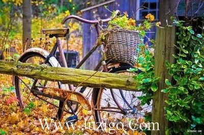 ​适合发晚安的配图晚安心语正能量朋友圈精选(精选70句)