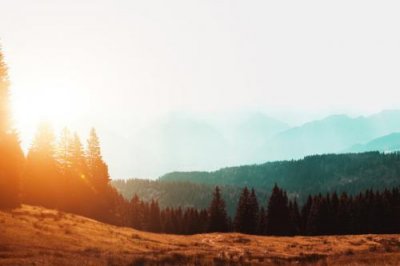 ​2025年五月第一天文案 迎接2025年文案(精选78句)