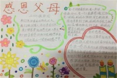 ​93年鸡抖音句子(抖音网红句子长句)