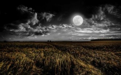 ​2026第一天合适说的早安心语(25句)