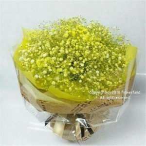 ​微信朋友圈早安心语（早安致自己新的一天短句）