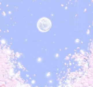 ​在海边看日出的文案(精选36句)