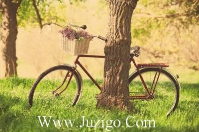 ​被求婚的女孩发朋友圈短句答应求婚文案精选(精选55句)