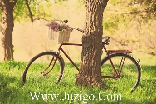 被求婚的女孩发朋友圈短句答应求婚文案精选(精选55句)