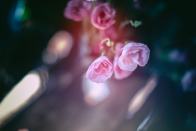 忍一忍就过去了的说说 学会忍的说说