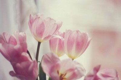 ​朋友圈说说靠自己最靠谱83句