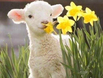 ​表白时该说的话