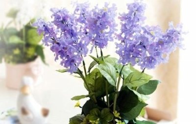 ​搞笑人生格言大全93句