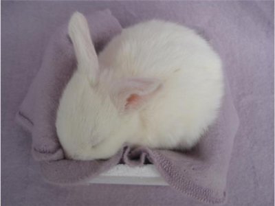 ​很有才的幽默搞笑下分说说（超级搞笑幽默说说）