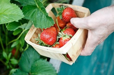 ​天气谚语常说76句