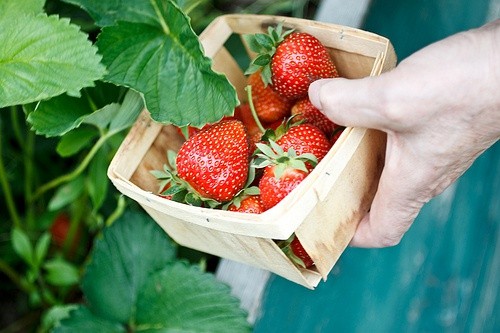 天气谚语常说76句