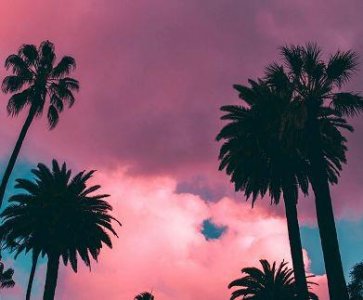 ​7月结束8月开始的句子 七月再见八月你好的说说(精选81句)