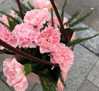 ​悄悄努力变优秀的文案 改变自己正能量的句子(82句)