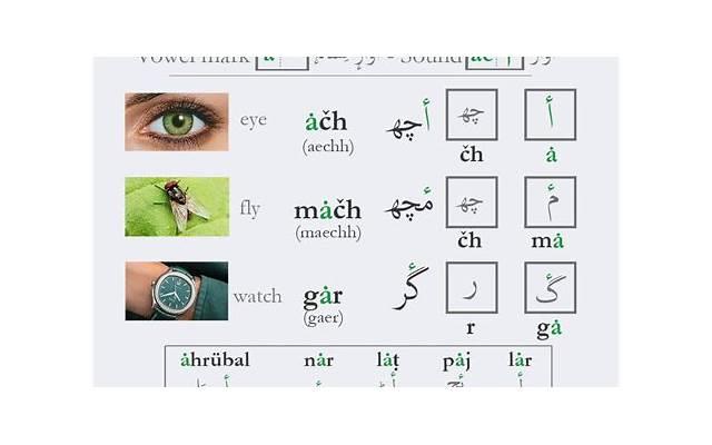 家人生病住院发朋友圈的句子精选19句