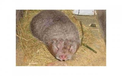 ​不是眼泪就可以挽回失去的伤感说说