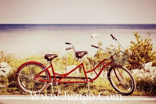 形容享受田园生活的说说形容田园生活的词语(精选40句)