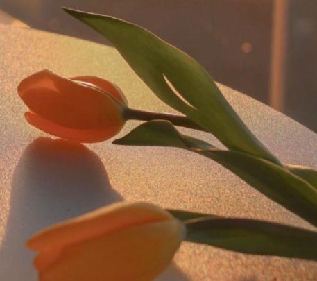 微商朋友圈的晚安语