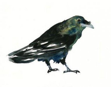 ​秋天伤感文案句子 有关于秋天朋友圈文案