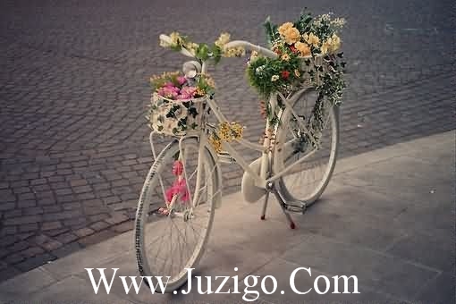 睡前发个朋友圈晚安语晚安心语简短一句话发朋友圈