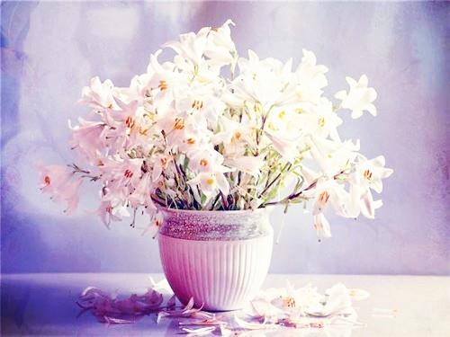 早安语录女朋友