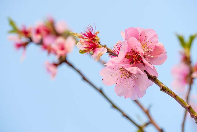 描写爱心的好词好句