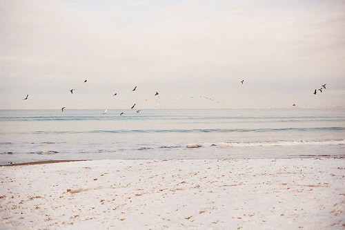 关于吃饭的优美语句 吃饭好吃的句子(55句)