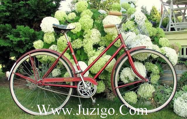 早晨充满正能量的句子充满正能量的句子(精选60句)