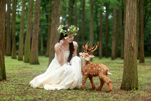 英语中关于花的谚语138句