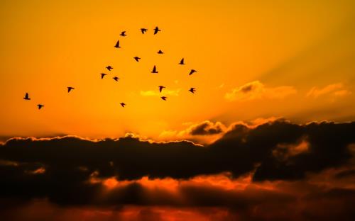 人生乐观态度的句子