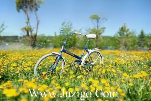 说明文优美句子说明文结尾好句子(精选15句)