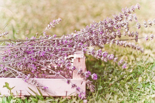 幼儿园毕业寄语老师39句